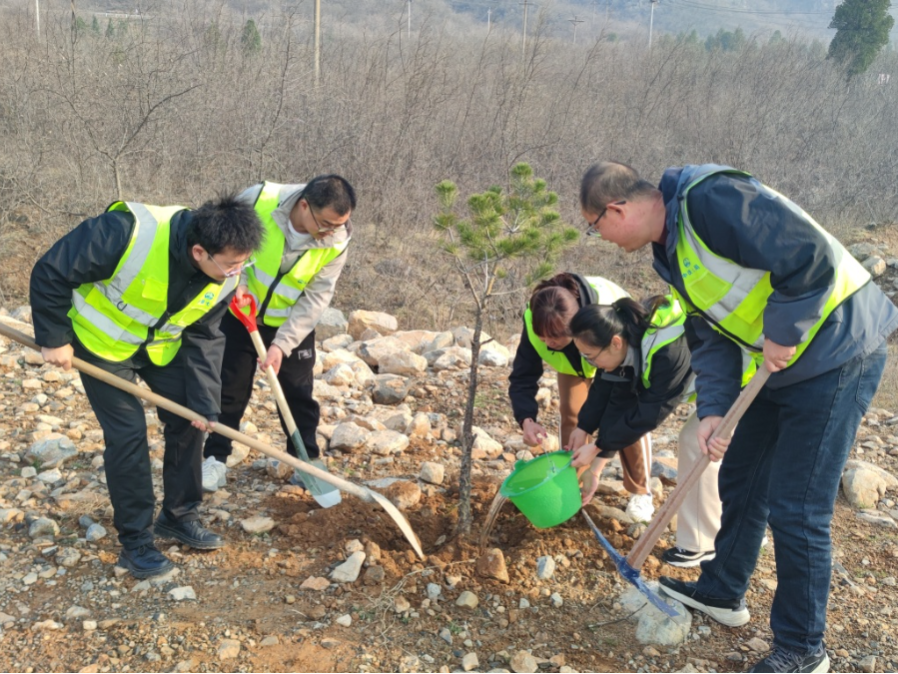 植树2.jpg